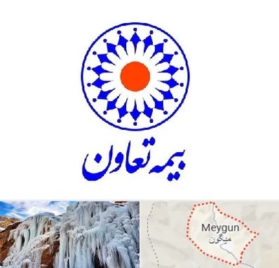 بیمه تعاون در میگون