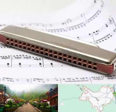 آموزشگاه ساز دهنی در فومن