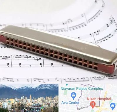 آموزشگاه ساز دهنی در آجودانیه