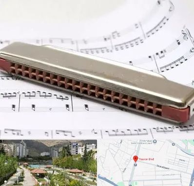 آموزشگاه ساز دهنی در بلوار تعاون