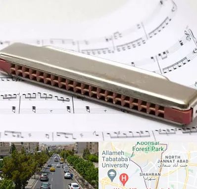 آموزشگاه ساز دهنی در شهران