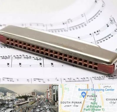 آموزشگاه ساز دهنی در پونک