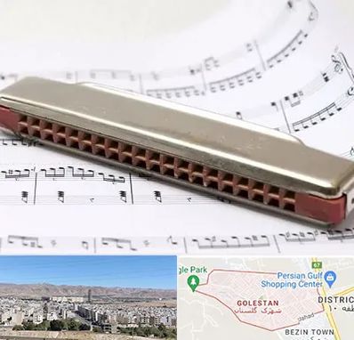 آموزشگاه ساز دهنی در شهرک گلستان شیراز