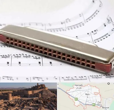 آموزشگاه ساز دهنی در بم
