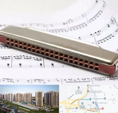 آموزشگاه ساز دهنی در المپیک