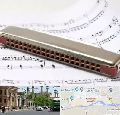 آموزشگاه ساز دهنی در پاکدشت