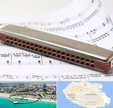 آموزشگاه ساز دهنی در کیش