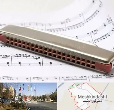 آموزشگاه ساز دهنی در مشکین دشت