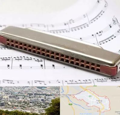 آموزشگاه ساز دهنی در یاسوج