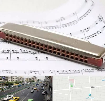 آموزشگاه ساز دهنی در خیابان دامپزشکی
