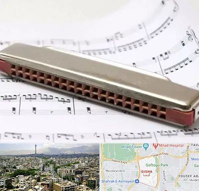 آموزشگاه ساز دهنی در گیشا