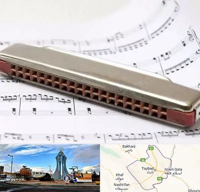 آموزشگاه ساز دهنی در تایباد