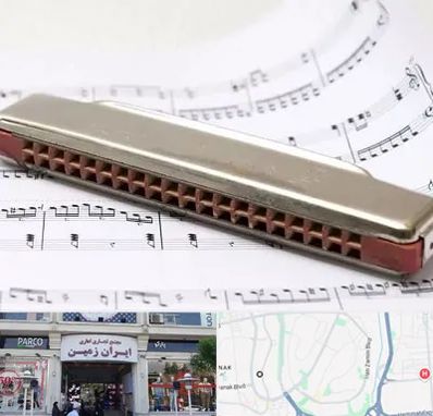 آموزشگاه ساز دهنی در ایران زمین