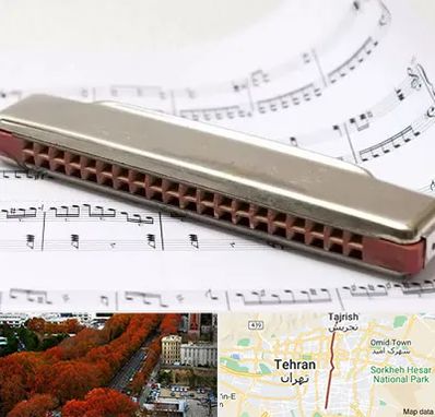 آموزشگاه ساز دهنی در ولیعصر