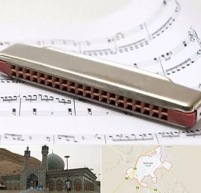 آموزشگاه ساز دهنی در شهرضا