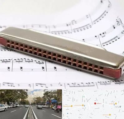 آموزشگاه ساز دهنی در دولت