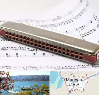 آموزشگاه ساز دهنی در مریوان