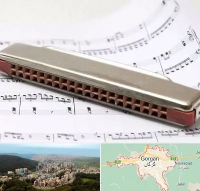 آموزشگاه ساز دهنی در گرگان