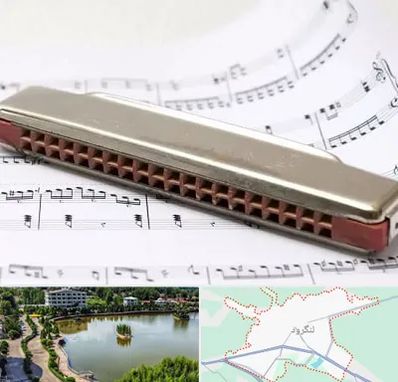 آموزشگاه ساز دهنی در لنگرود