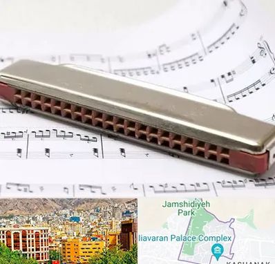 آموزشگاه ساز دهنی در نیاوران