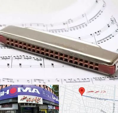 آموزشگاه ساز دهنی در امین حضور