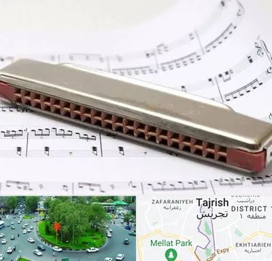 آموزشگاه ساز دهنی در تجریش