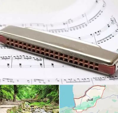 آموزشگاه ساز دهنی در گلستان