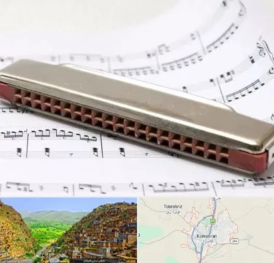 آموزشگاه ساز دهنی در کامیاران