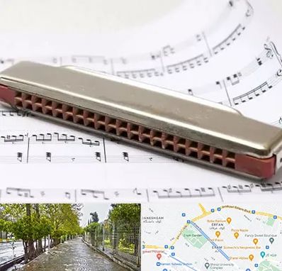 آموزشگاه ساز دهنی در خیابان ارم شیراز