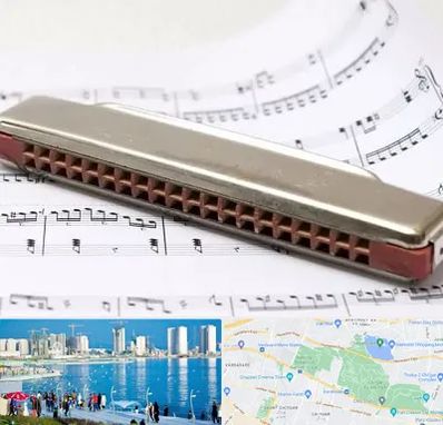 آموزشگاه ساز دهنی در چیتگر