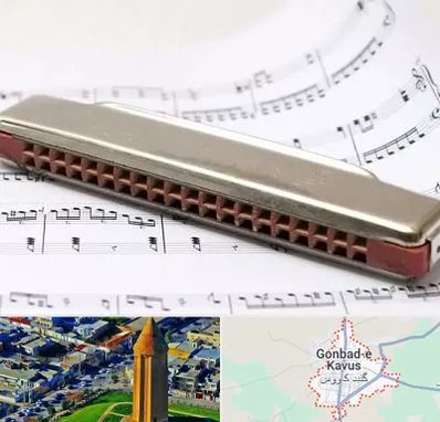 آموزشگاه ساز دهنی در گنبد کاووس