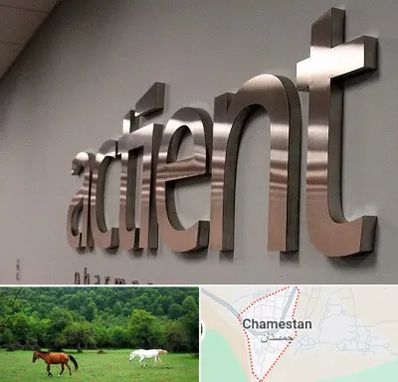تابلو استیل در چمستان