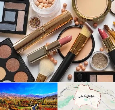 آرایشی بهداشتی در خراسان شمالی