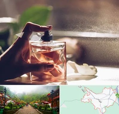 فروشگاه عطر و ادکلن در فومن