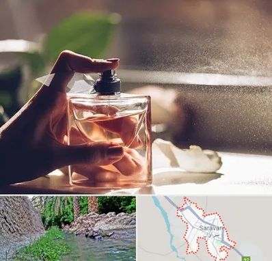 فروشگاه عطر و ادکلن در سراوان