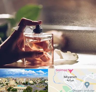 فروشگاه عطر و ادکلن در میانه
