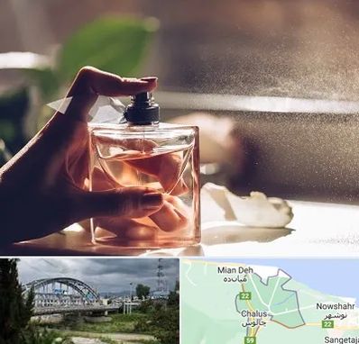 فروشگاه عطر و ادکلن در چالوس