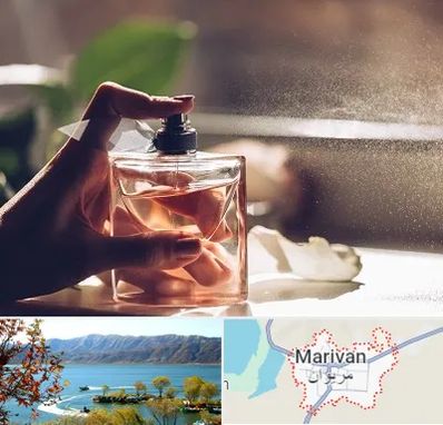 فروشگاه عطر و ادکلن در مریوان