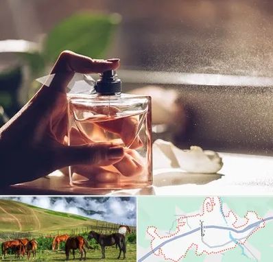 فروشگاه عطر و ادکلن در تالش