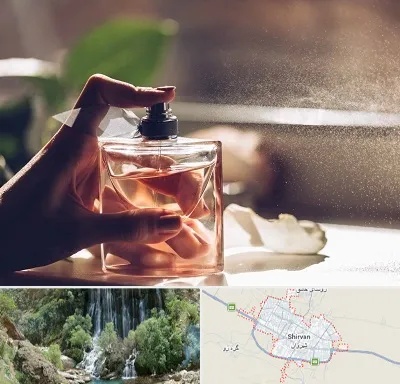 فروشگاه عطر و ادکلن در شیروان
