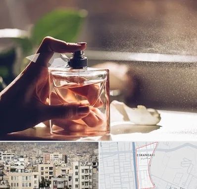 فروشگاه عطر و ادکلن در اسکندری