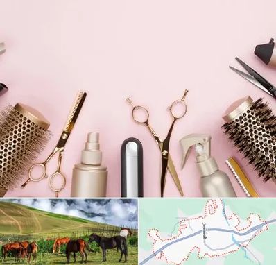 فروشگاه تجهیزات آرایشگاهی در تالش