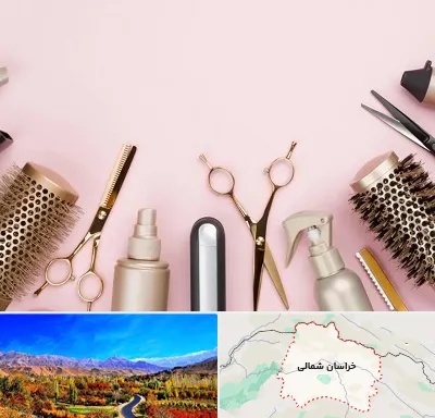 فروشگاه تجهیزات آرایشگاهی در خراسان شمالی