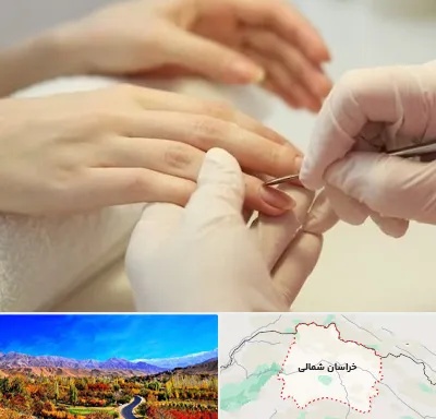 فروشگاه ابزار مانیکور و پدیکور در خراسان شمالی