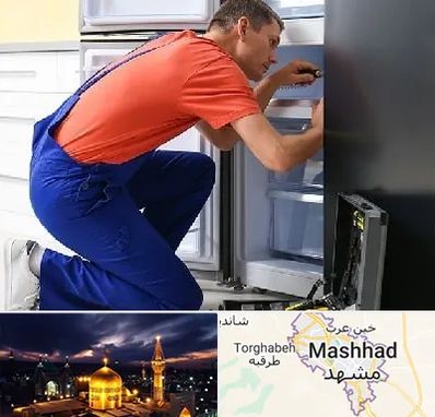 تعمیر یخچال در مشهد