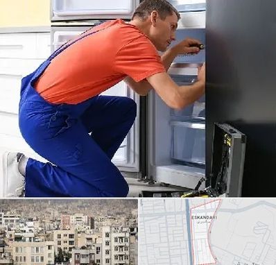 تعمیر یخچال در اسکندری