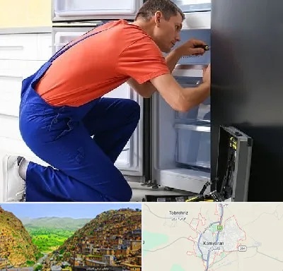تعمیر یخچال در کامیاران