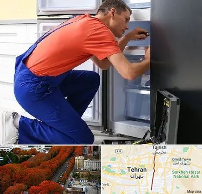 تعمیر یخچال در ولیعصر