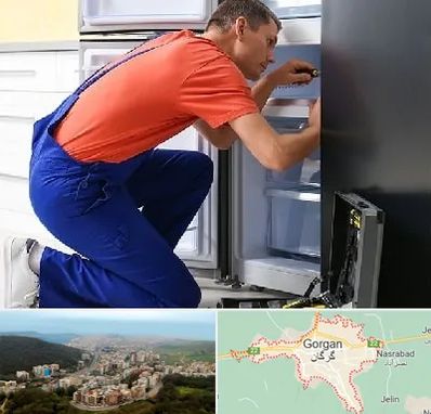 تعمیر یخچال در گرگان