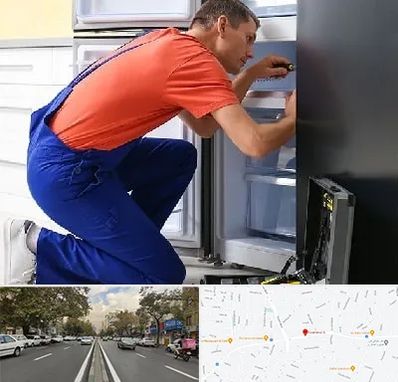 تعمیر یخچال در دولت